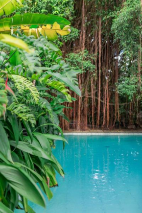 The Fern Cove Colombo